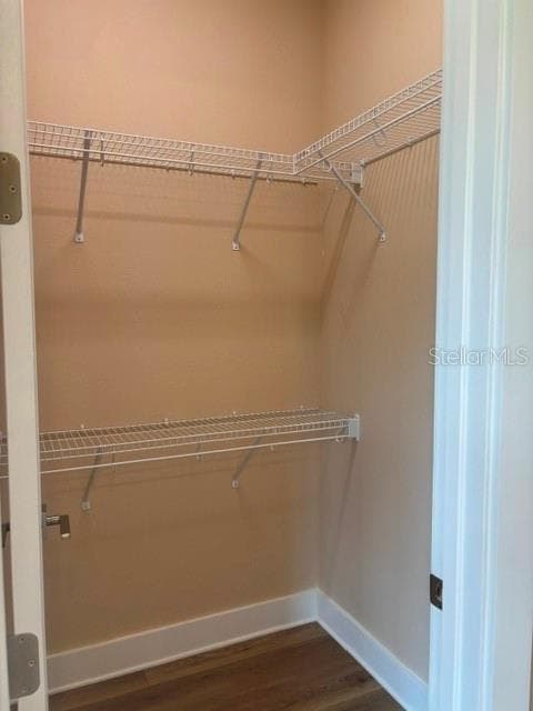 1137 DOROTHY STREET — photo 19 of 21
