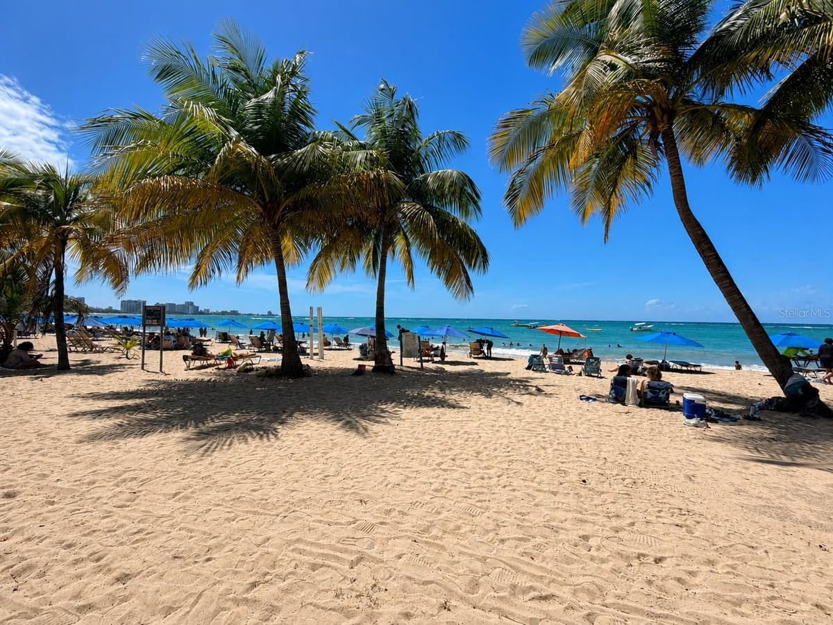 6165 AVE. ISLA VERDE — photo 13 of 13