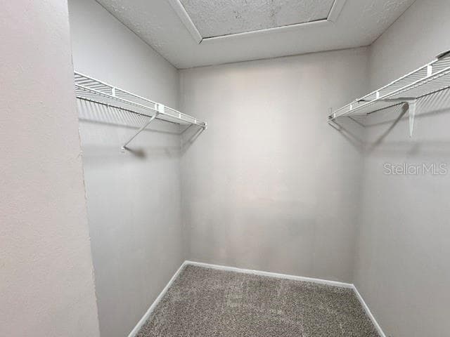 16004 GRASS LAKE DRIVE — photo 15 of 27