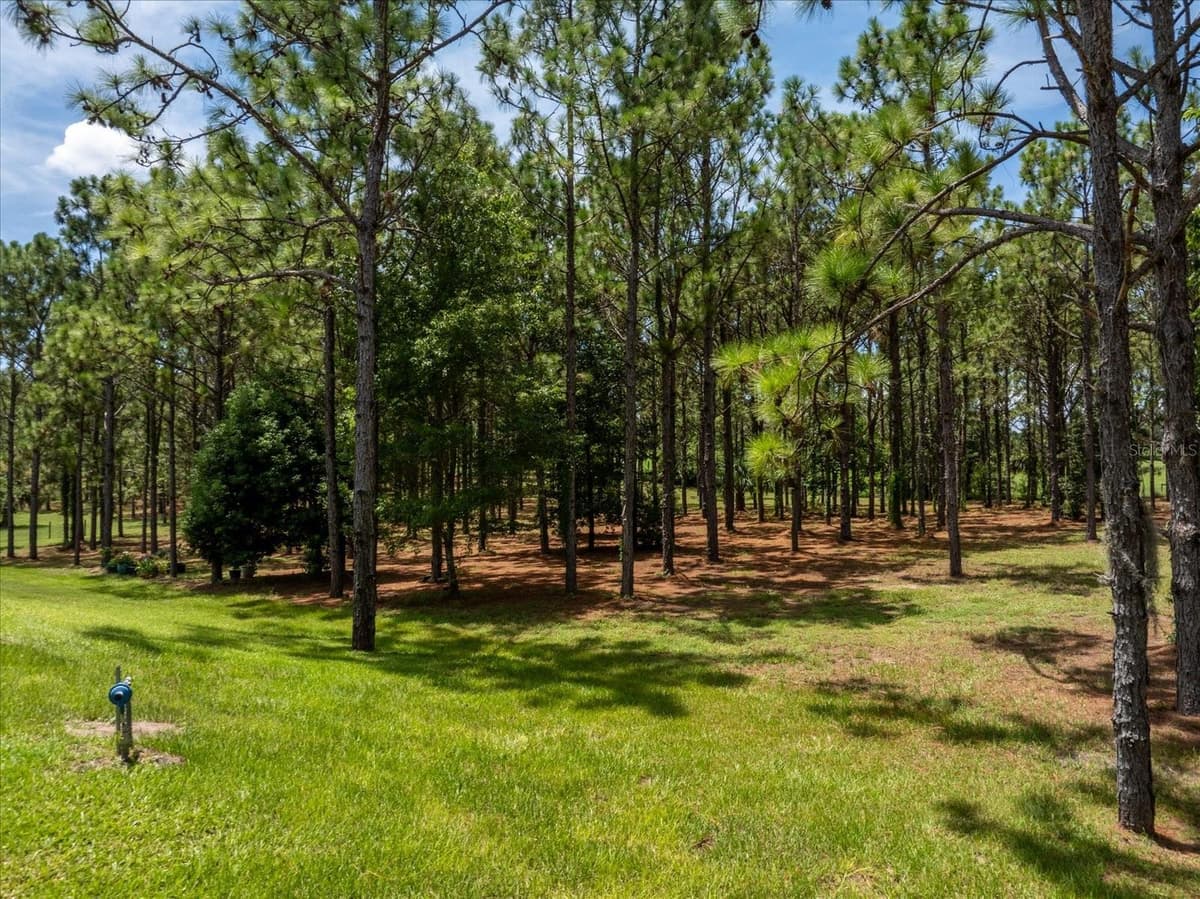 5208 EFFIE DRIVE — photo 71 of 73