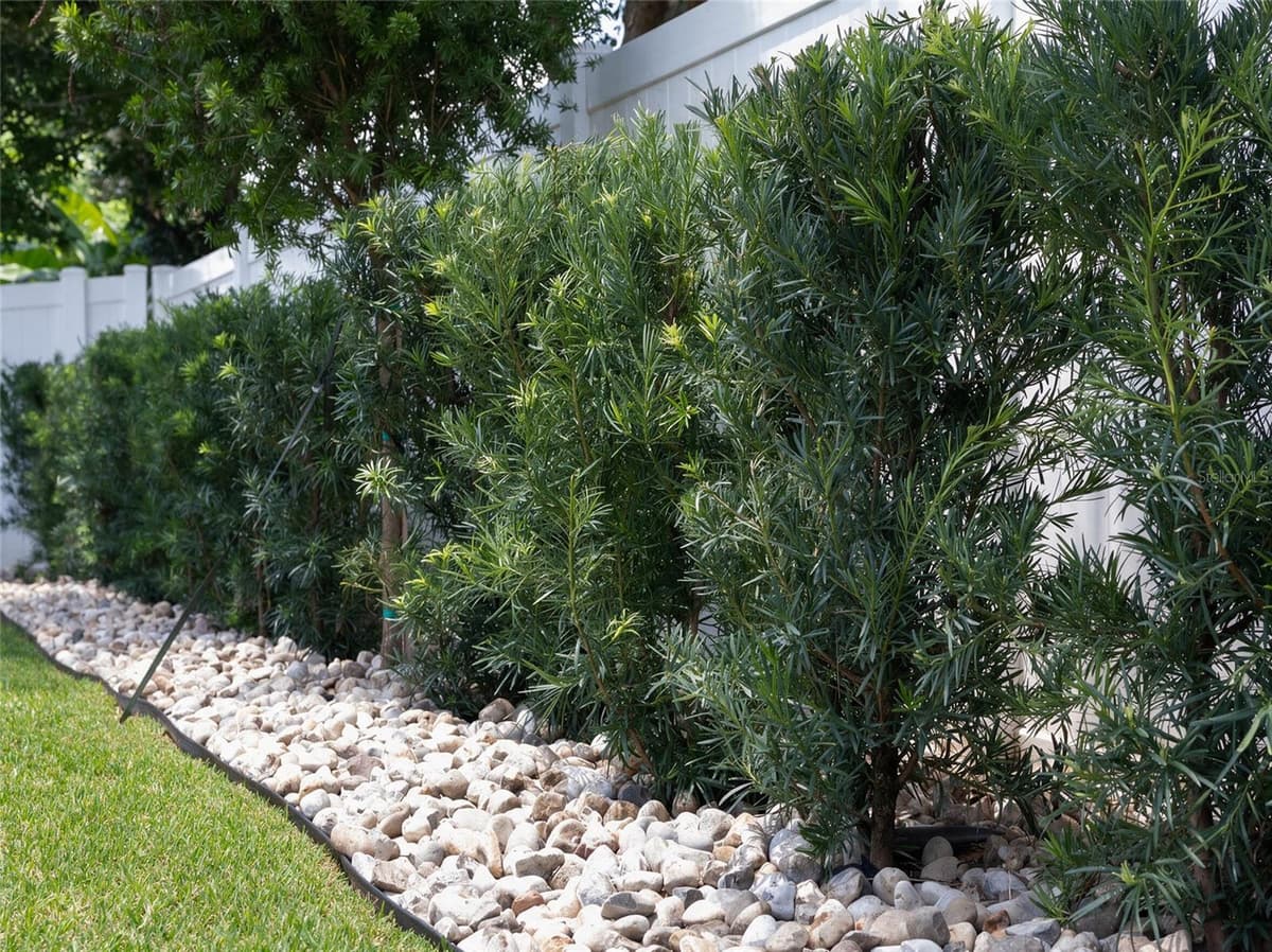 1051 WAX MYRTLE AVENUE — photo 45 of 58