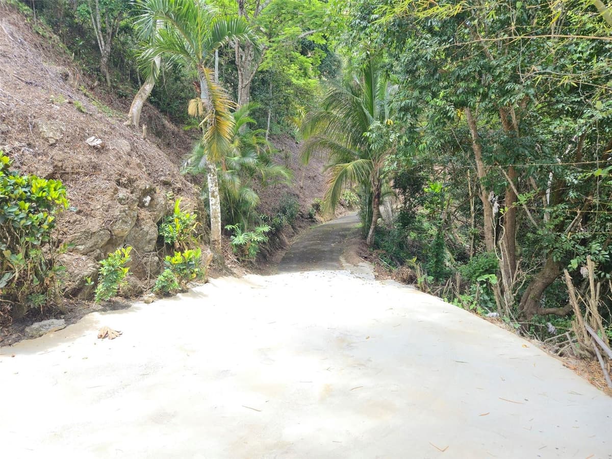 PR 156 KM. 23.9 RIO HONDO WARD — photo 37 of 47