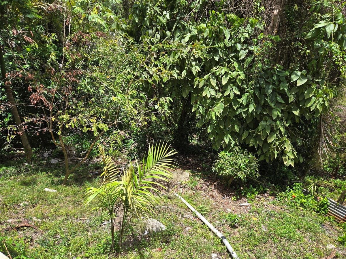 PR 156 KM. 23.9 RIO HONDO WARD — photo 44 of 47