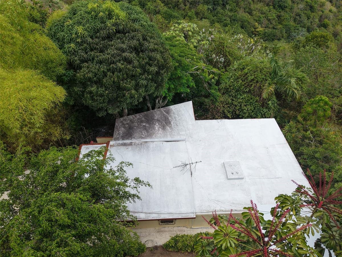 PR 156 KM. 23.9 RIO HONDO WARD — photo 41 of 47