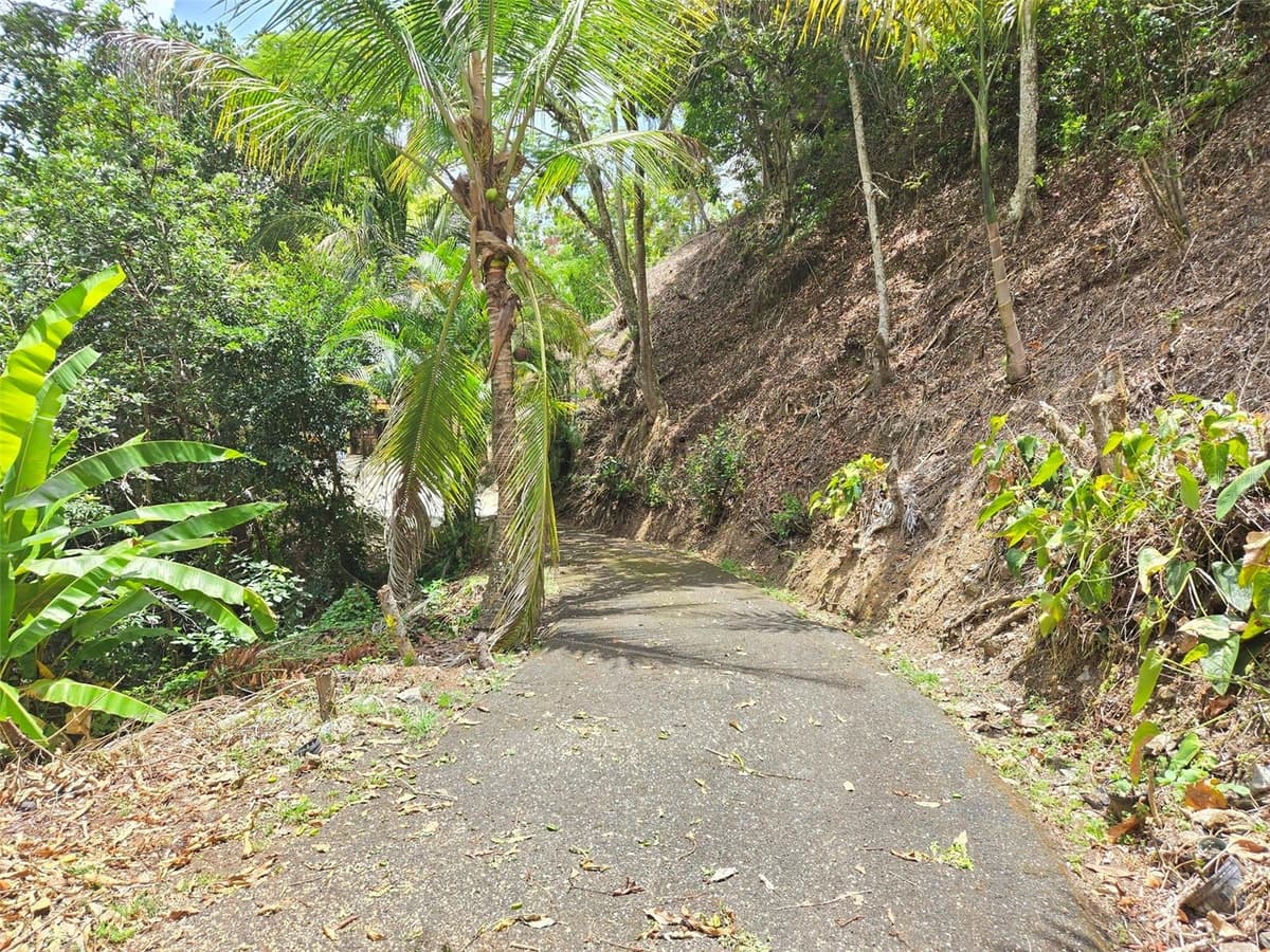 PR 156 KM. 23.9 RIO HONDO WARD — photo 4 of 47