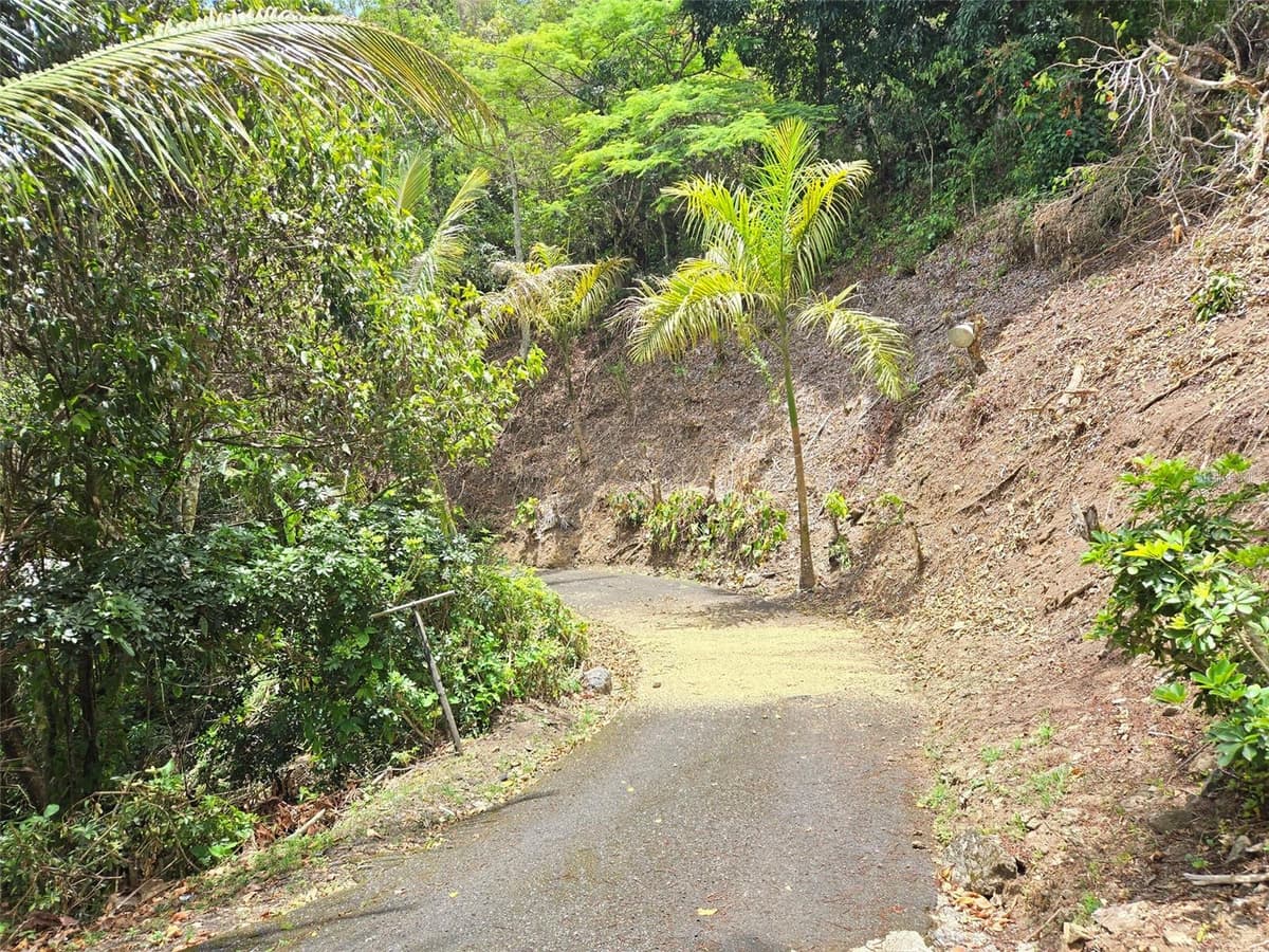 PR 156 KM. 23.9 RIO HONDO WARD — photo 3 of 47