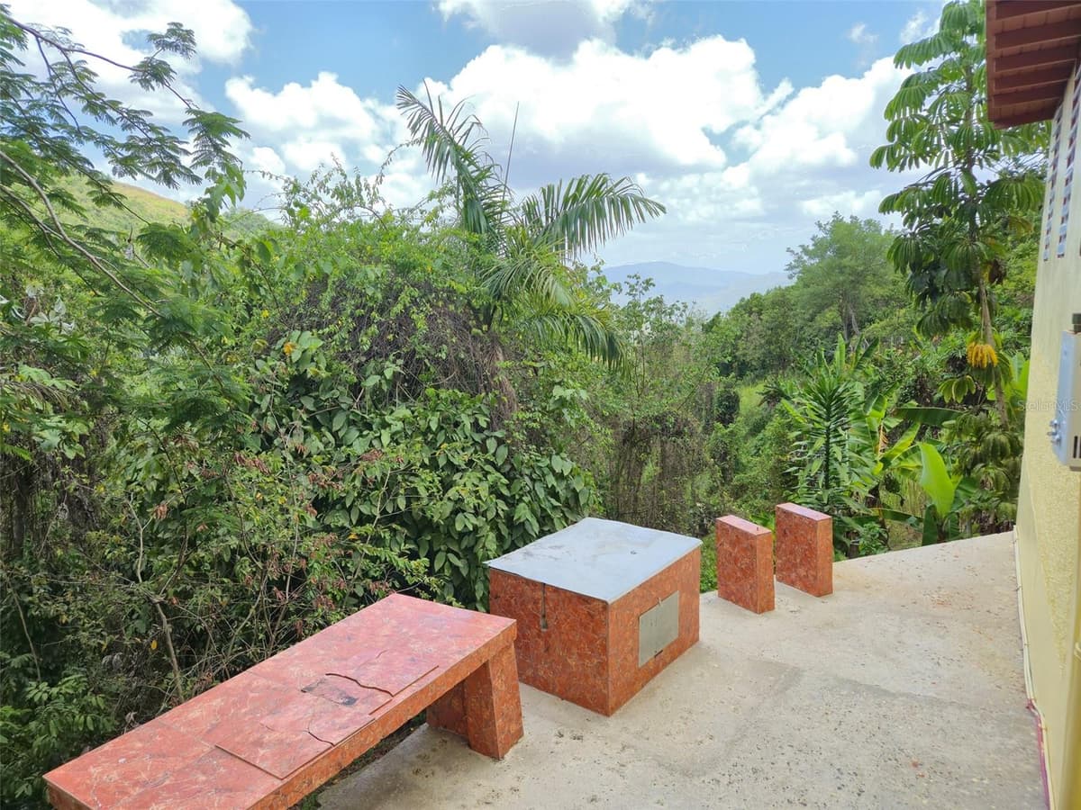 PR 156 KM. 23.9 RIO HONDO WARD — photo 36 of 47