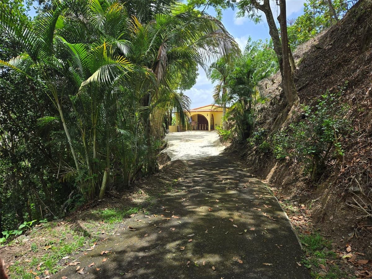 PR 156 KM. 23.9 RIO HONDO WARD — photo 5 of 47