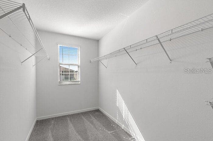 7222 RONNIE GARDEN COURT — photo 9 of 28