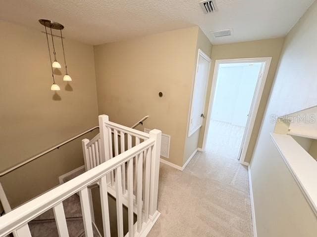 30 CHIPPENDALE TERRACE — photo 21 of 33
