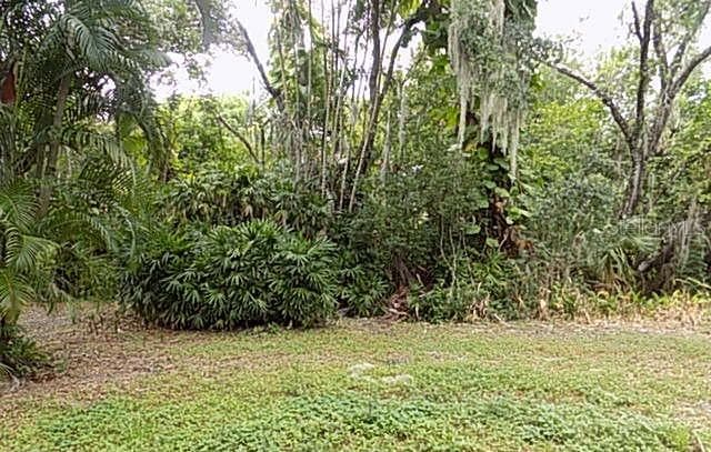 4537 CHIMNEY CREEK DRIVE — photo 14 of 14