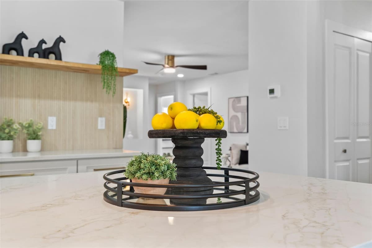 670 VENICE LANE — photo 48 of 91