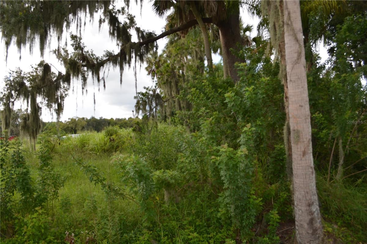 4045 HONEY BEE PT ROAD — photo 5 of 17