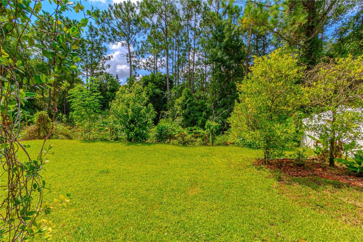 10462 WILLOW RIDGE LOOP — photo 34 of 37