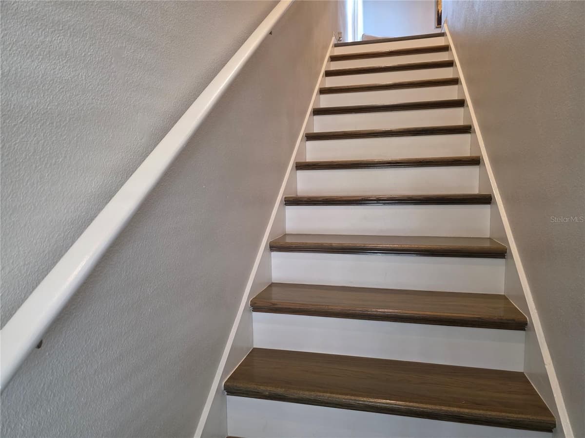 13909 ARBOR PINES DRIVE — photo 19 of 48