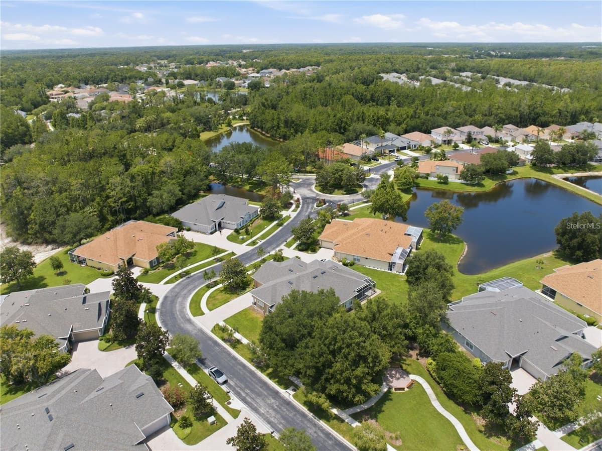 27325 MISTFLOWER DRIVE — photo 39 of 48