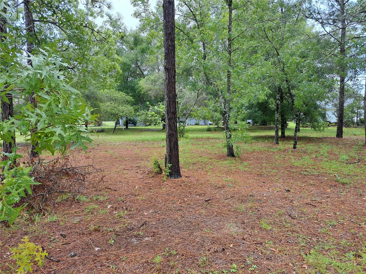 2692 HAMLET PLACE — photo 6 of 27