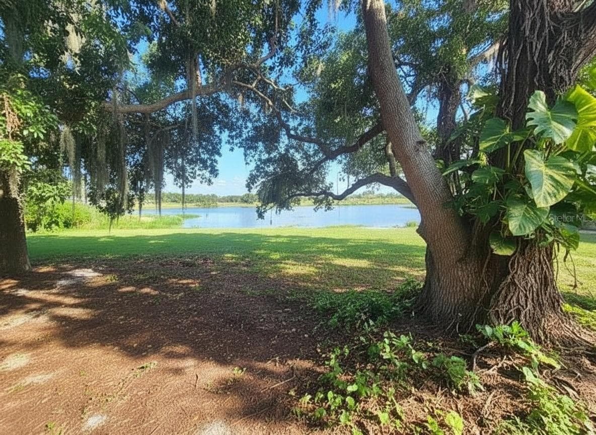 14322 LAKE JUNIETTA DRIVE — photo 4 of 7