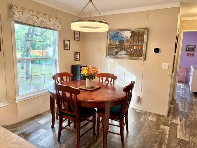 9825 LEGUNA STREET — photo 23 of 40