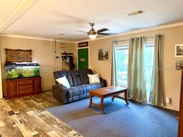9825 LEGUNA STREET — photo 15 of 40