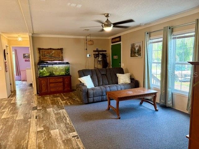 9825 LEGUNA STREET — photo 18 of 40