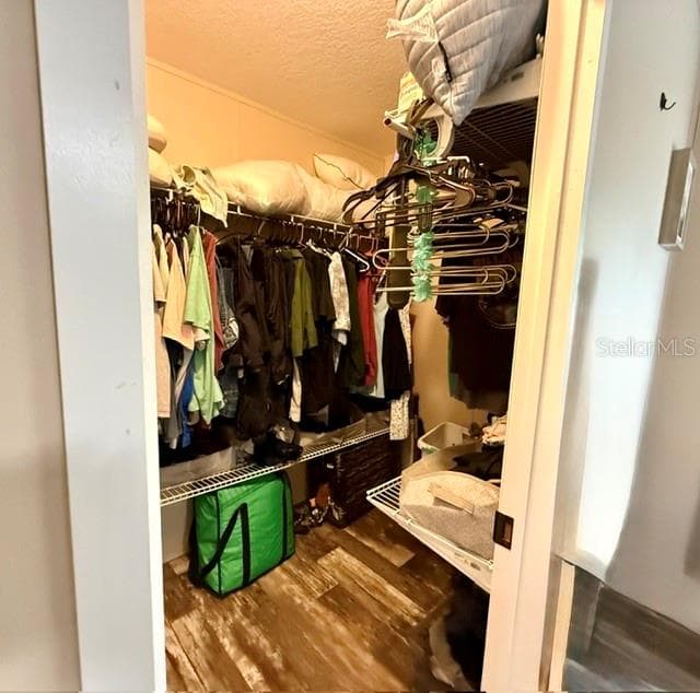 9825 LEGUNA STREET — photo 34 of 40