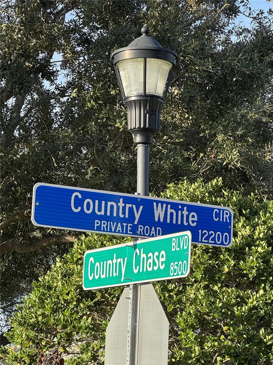 12280 COUNTRY WHITE CIRCLE — photo 37 of 40