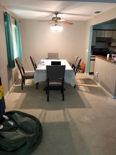 2246 COACH HOUSE BOULEVARD — photo 5 of 11
