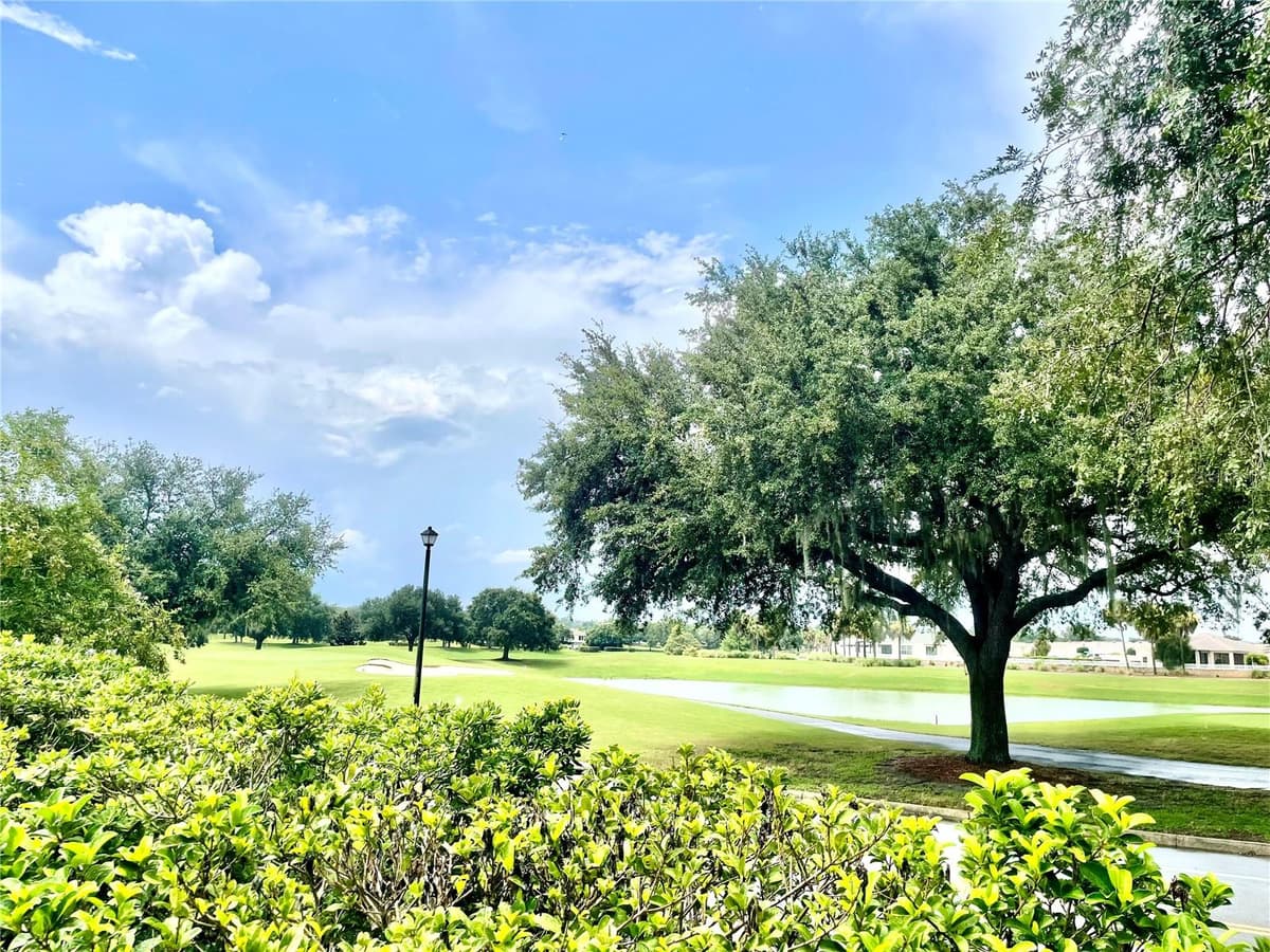 7811 173RD PANORAMA PLACE — photo 8 of 47