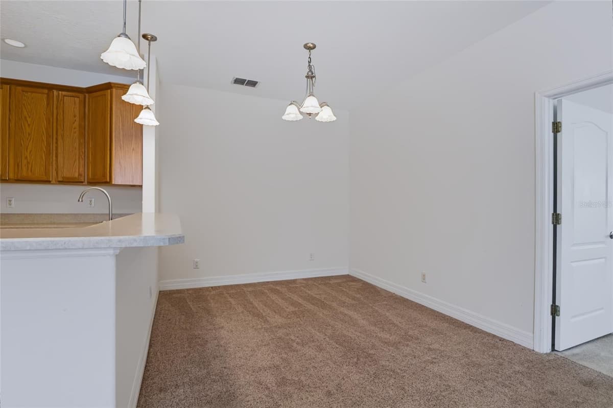 17313 CHATEAU PINE WAY — photo 15 of 47