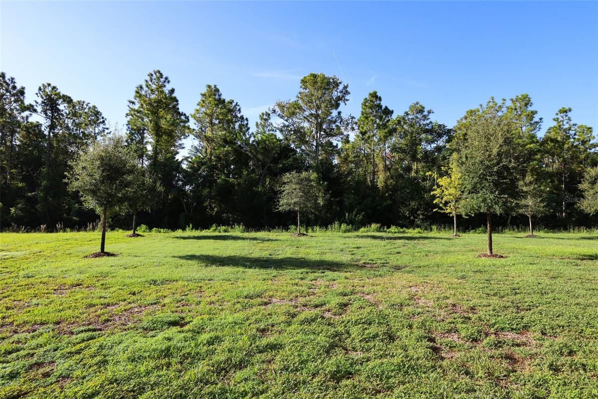 5288 OBSIDIAN GATE DRIVE — photo 66 of 69