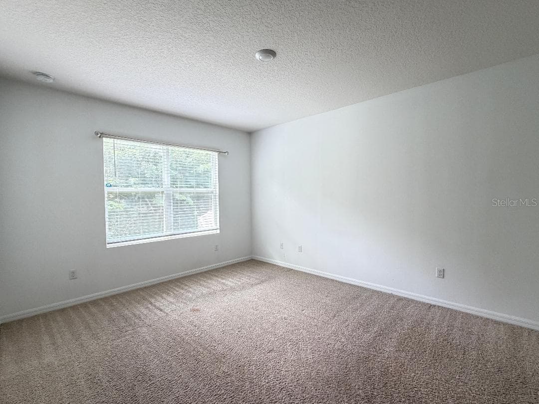 3741 CRIMSON CLOVER DRIVE — photo 13 of 18