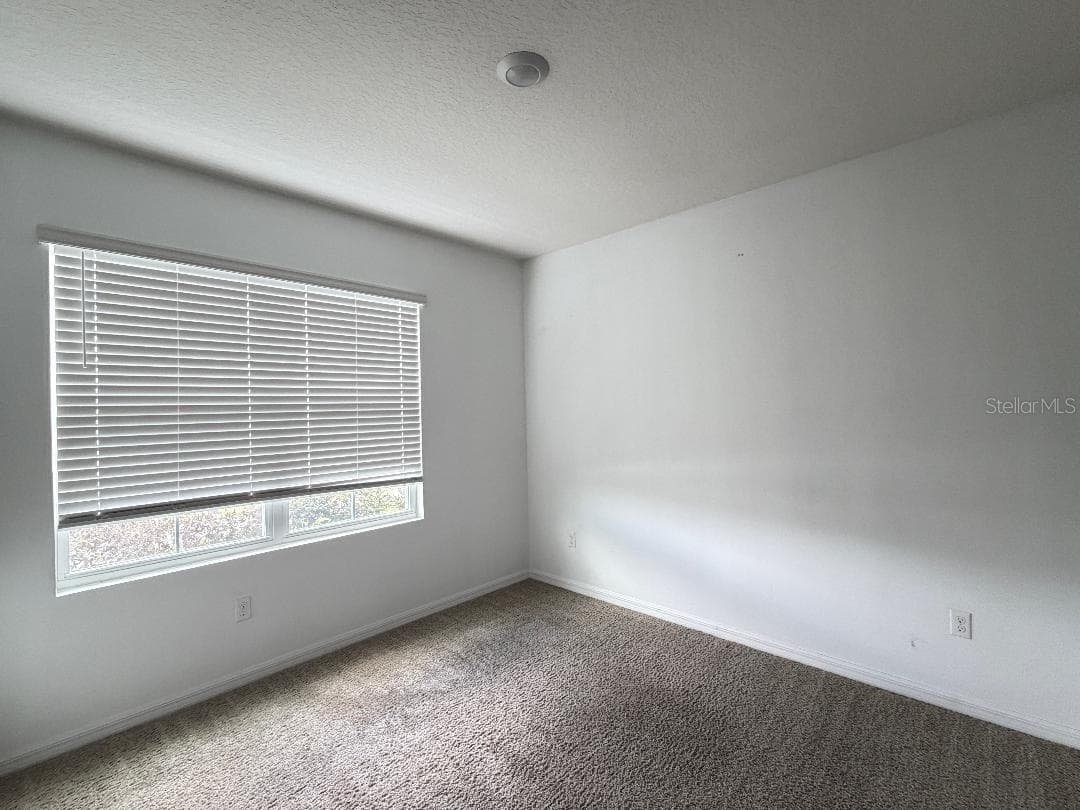 3741 CRIMSON CLOVER DRIVE — photo 9 of 18