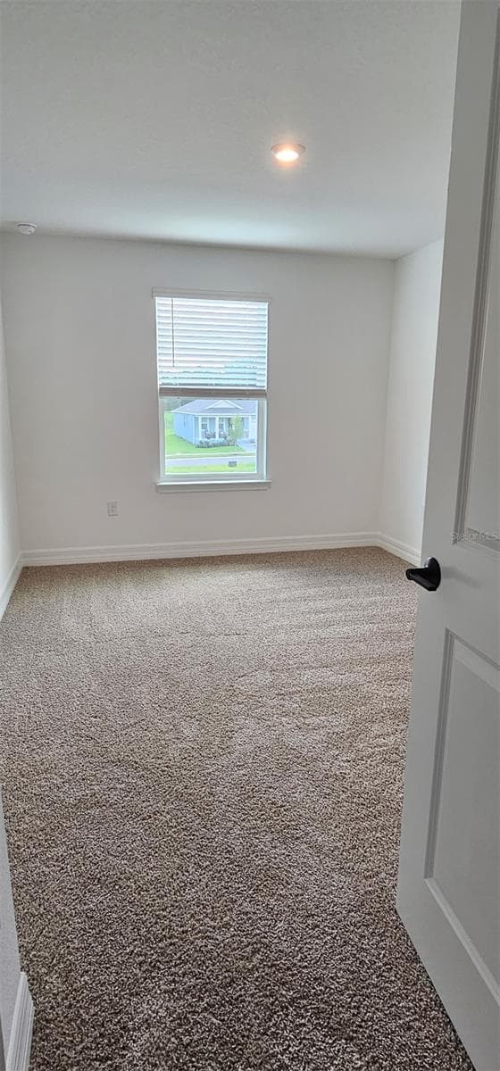 180 RAINWOOD STREET — photo 22 of 40