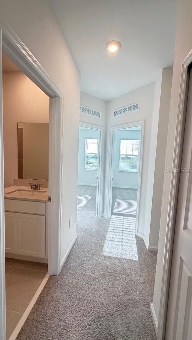 3228 NAMASTE DRIVE — photo 14 of 30