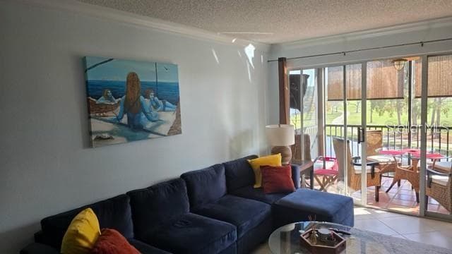 2400 FEATHER SOUND DRIVE — photo 7 of 39