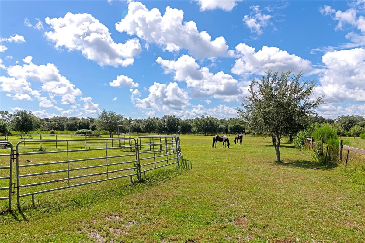 710 MYAKKA RD — photo 86 of 99