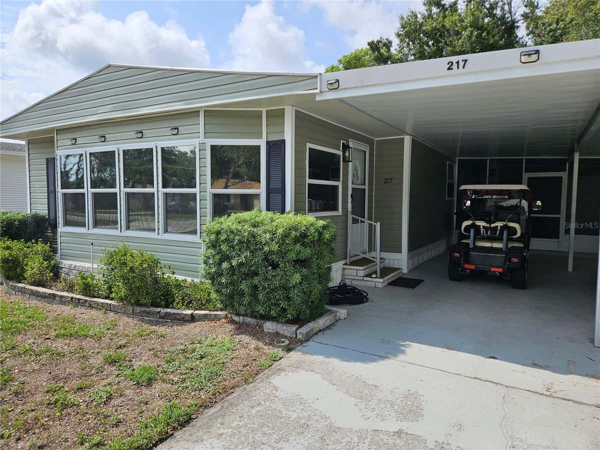 217 LAKE TARPON DRIVE
